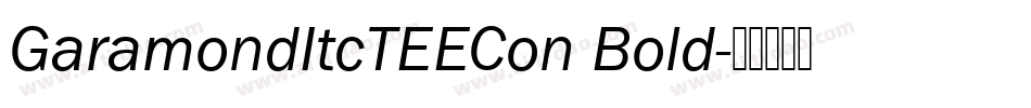 GaramondItcTEECon Bold字体转换